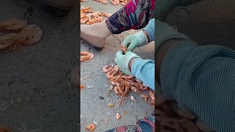 The UmamiTaste of Shrimp with Added Flavor 🦐 #shorts #Asmr