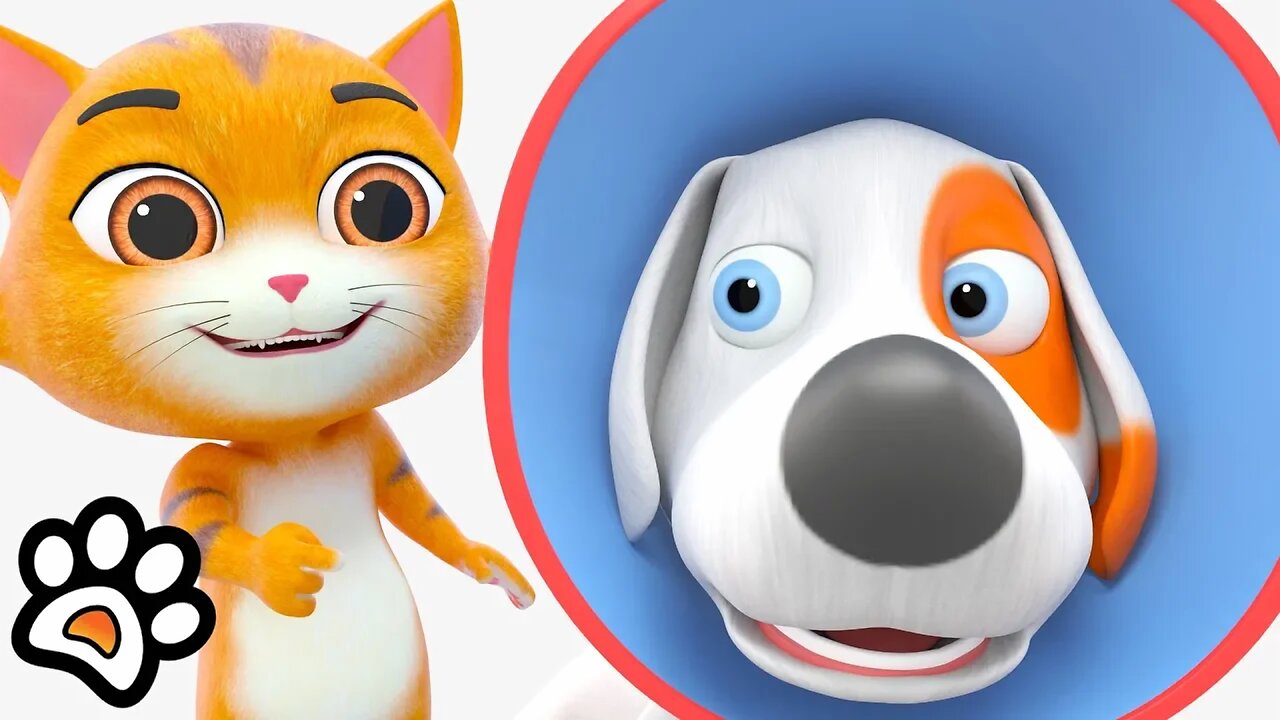 Dog Cone : Paw Pack | Funny Cartoon Shows | Comedy Videos for Children by Little Treehouse