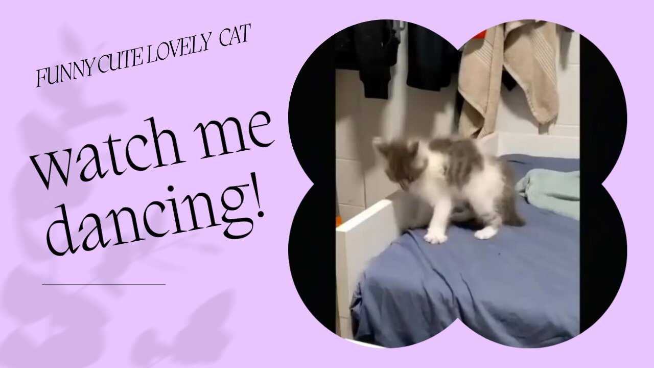 Watch me Meow Meow Dancing!