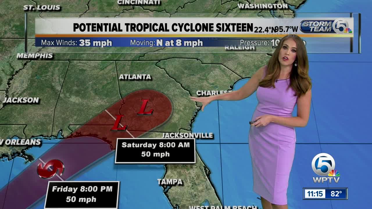 Tropical storm warning issued for parts of Florida Panhandle due to potential tropical cyclone