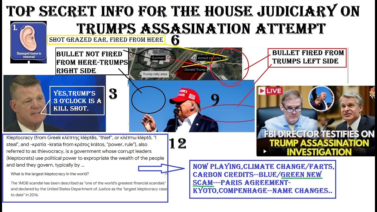 SECRET INFO for HOUSE JUDICIARY,TRUMPs patsy shooter