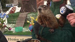 Woody Woodchuck Predicts an Early Spring