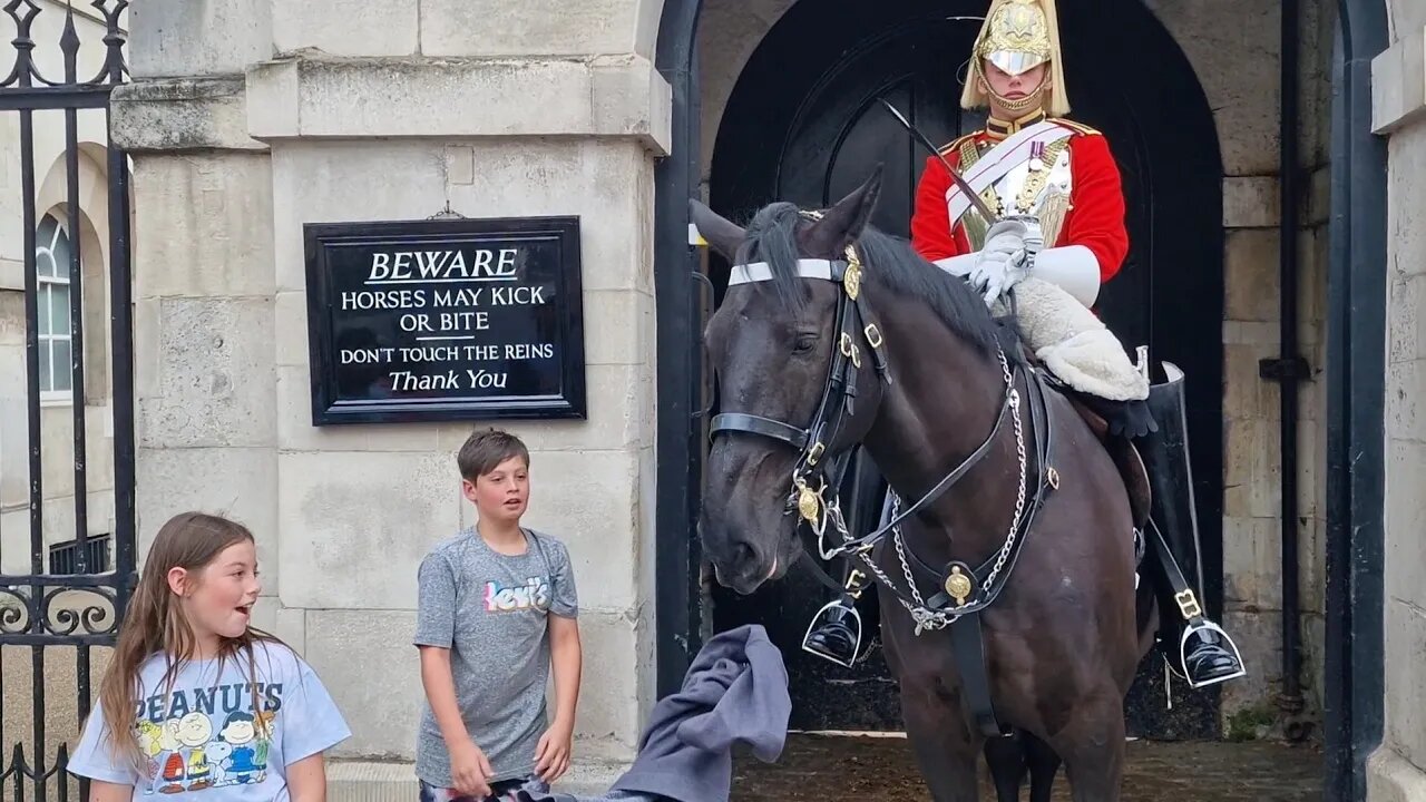 Horse bites steals a kids jacket throws it on the floor and guard shouts dont touch the reins
