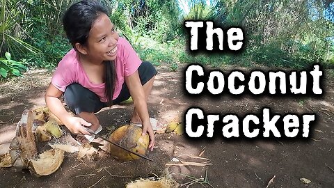 How To Skin A Coconut