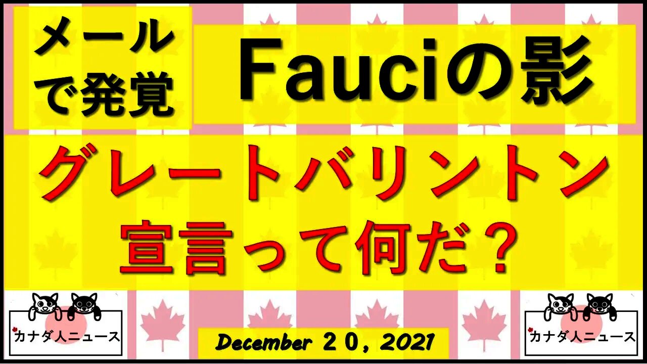 グレートバリントン宣言って何だ？
