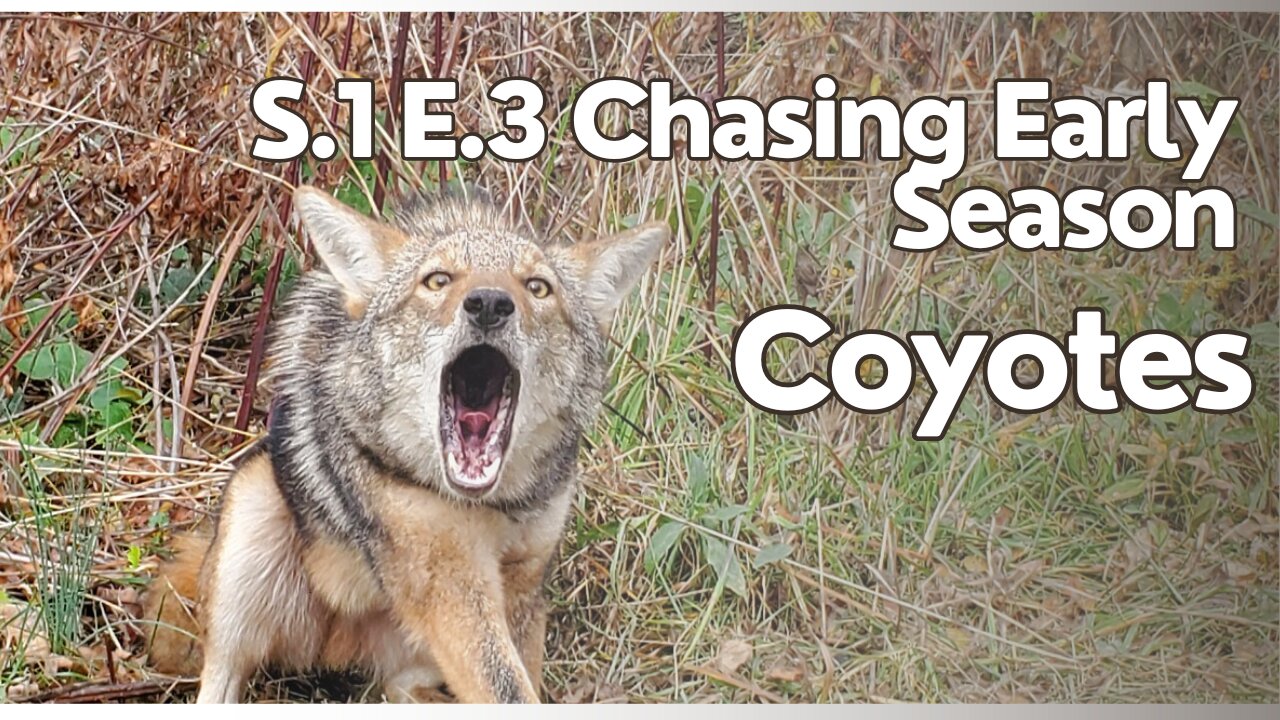 S.1 E.3 Chasing Early Season Coyotes