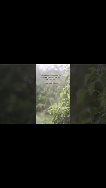 Forging Your Own Path: The Power of Taking Risks