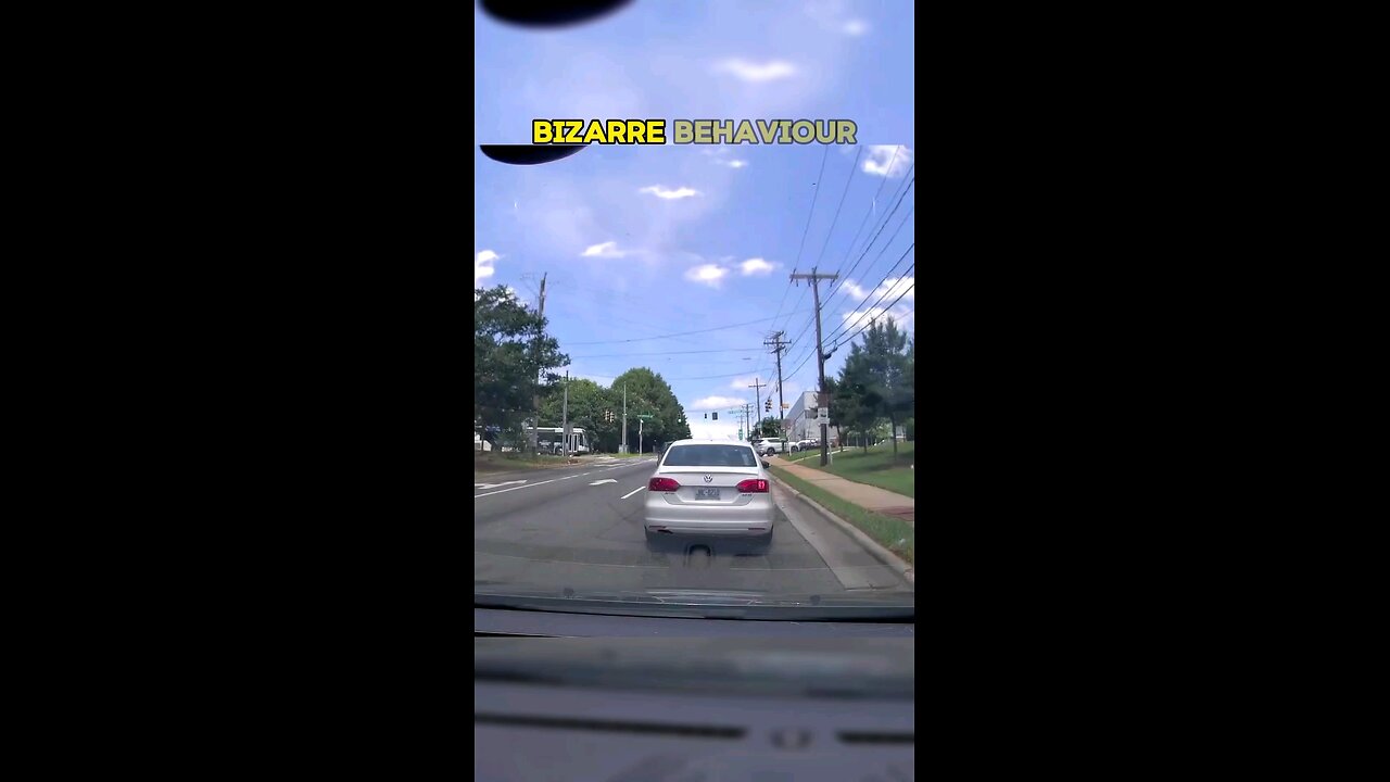 Crazy Driver Runs Red & Merges Into Traffic in REVERSE 🫤