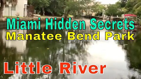 #walkingtour +Walking the Streets of Little Haiti, Little River {Miami Secrets 2023}