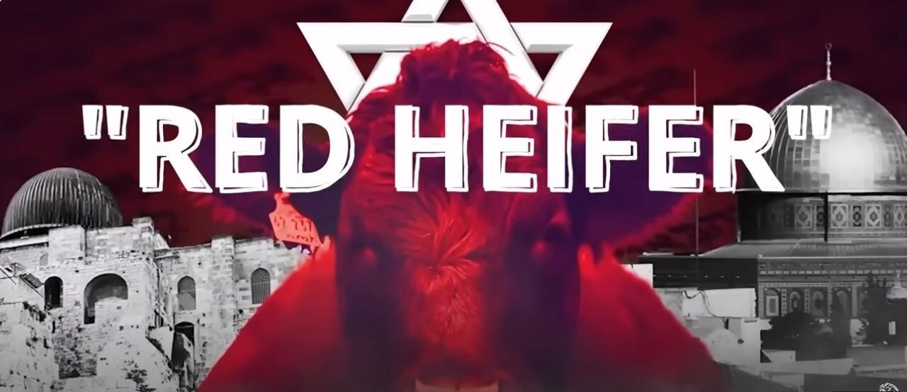 Revelations with Watchman44 - Is the Red Heifer Israel's Next Response??? 4/17/2024