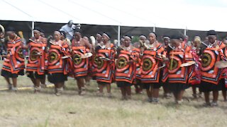 SOUTH AFRICA - Durban - Umthayi marula festival video's batch 9 (59p)