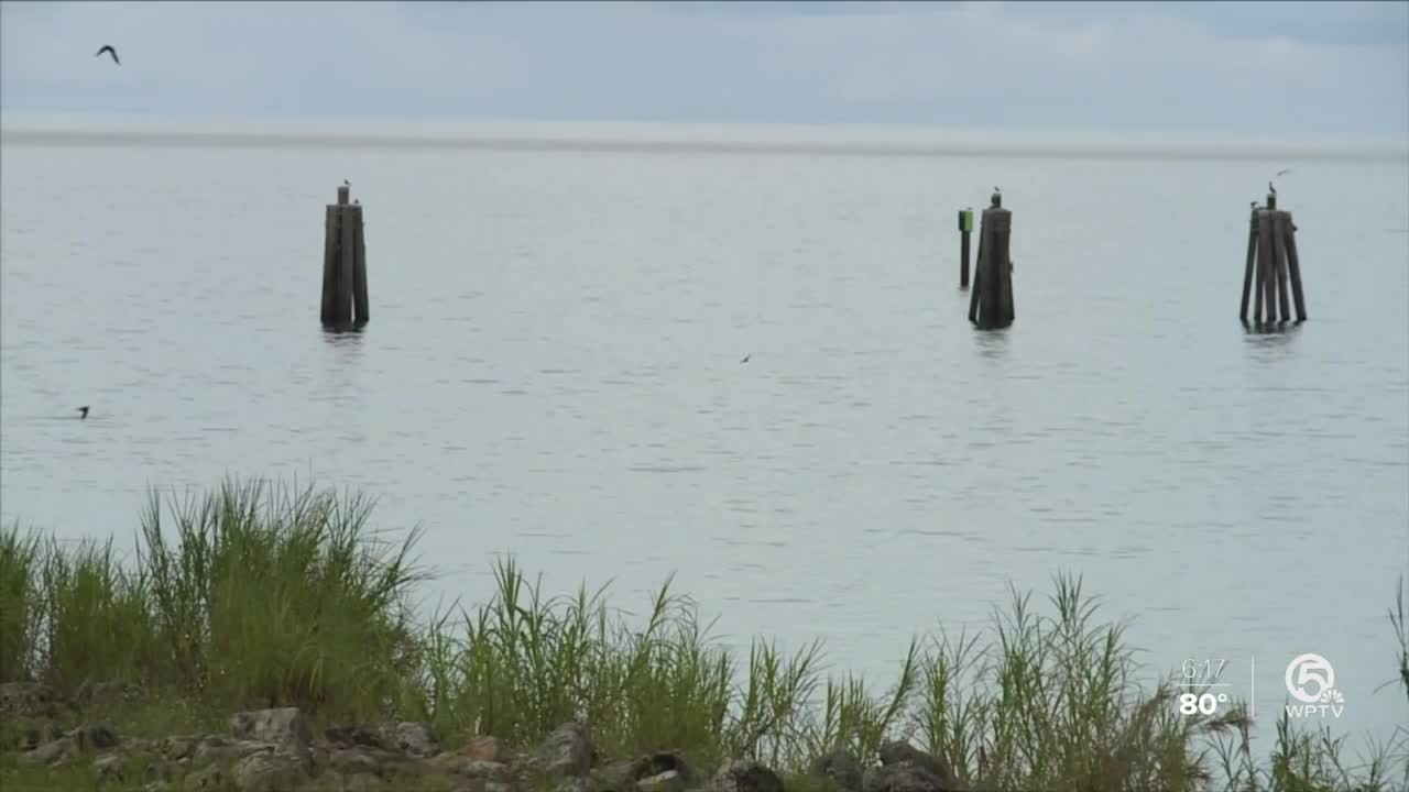 Scientists analyze how to predict when, where algae blooms will occur on Lake Okeechobee