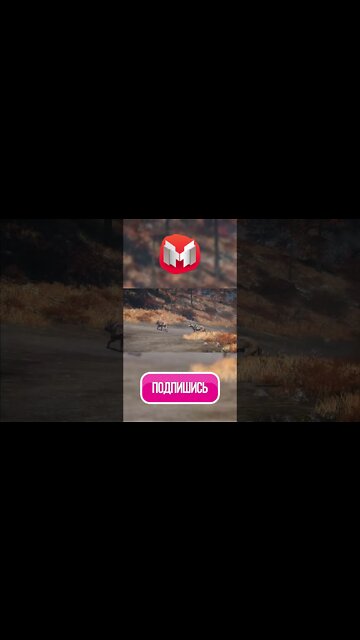 Для танцев всегда найдётся время )) Ⓜ #shorts #marmok #moki #мармок @MrMarmok