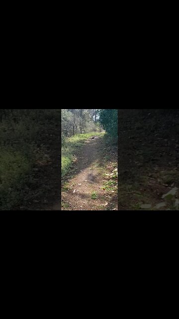 look at this nerd #shorts