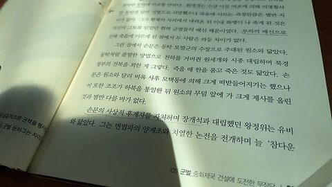 인물로 읽는 중국현대사 신동준 중화민국 초대총통 원세개 황제 손문 동턱토벌군 장개석 왕정위 천하통일 모택동 한실부흥 남경 손권 원소 삼민주의 조환 제위선양 등소평 사마의 화국봉