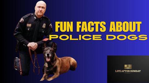 Fun Facts About Police Dogs