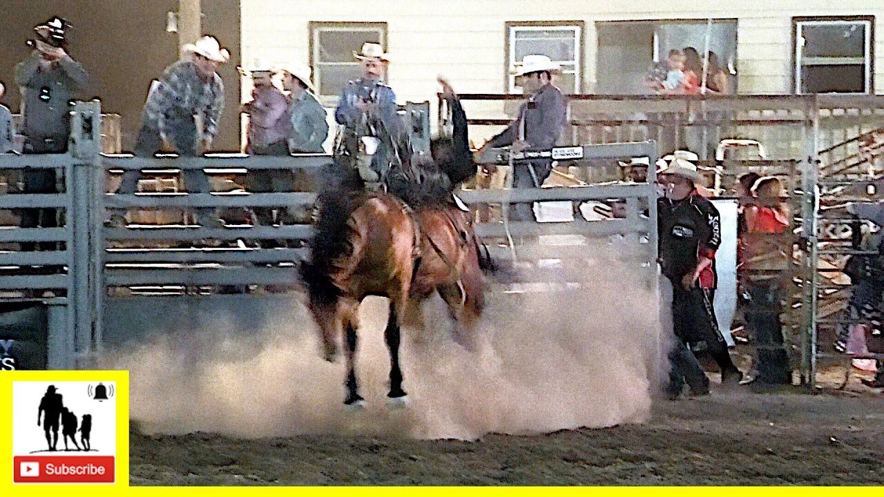 Bareback Broncs Section 2 - 2022 Champions Challenge Xtreme Roughstock