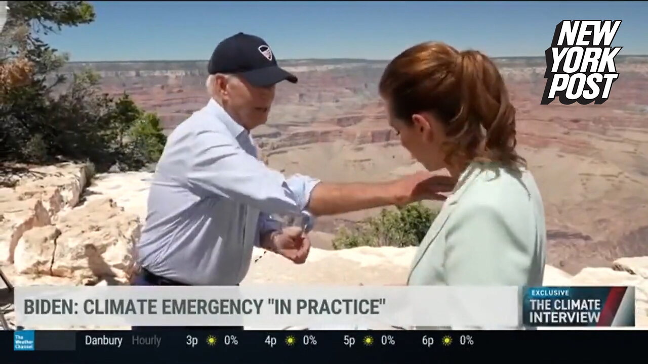 Biden brushes bug off meteorologist's chest during Weather Channel sit-down