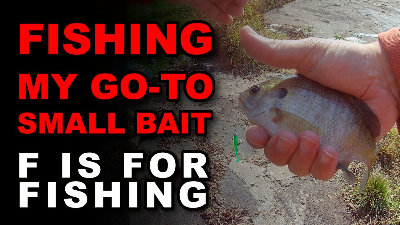 Fishing My Go-To Small Bait