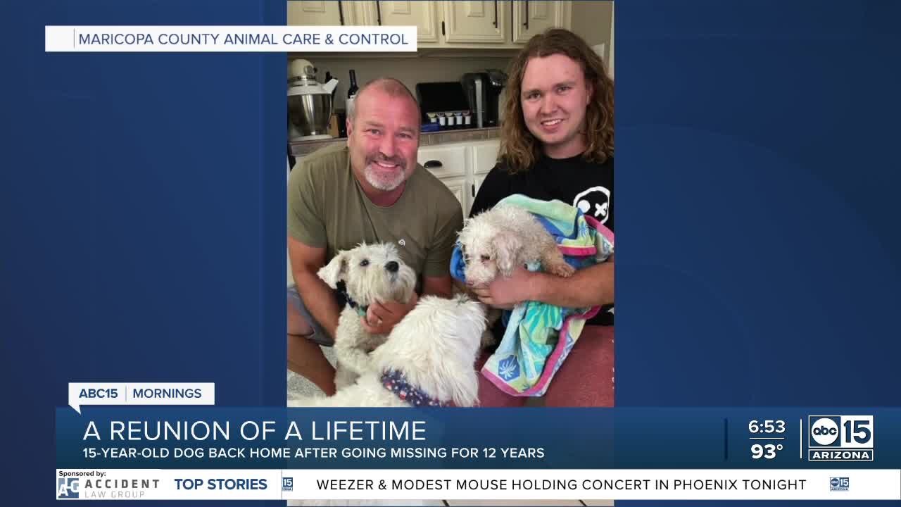 Phoenix dog reunited with family 12 years after going missing