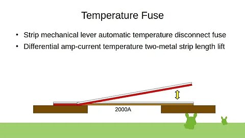 Temperature Fuse