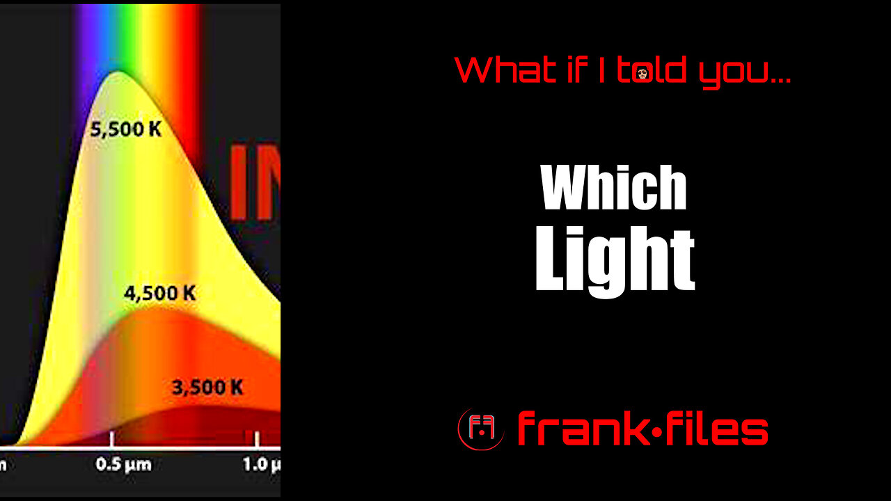 Which Light