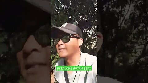 eksplor hutan sepi