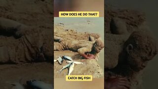 Do We Still Call This Fish? #shorts #fish #video #catchbigfish