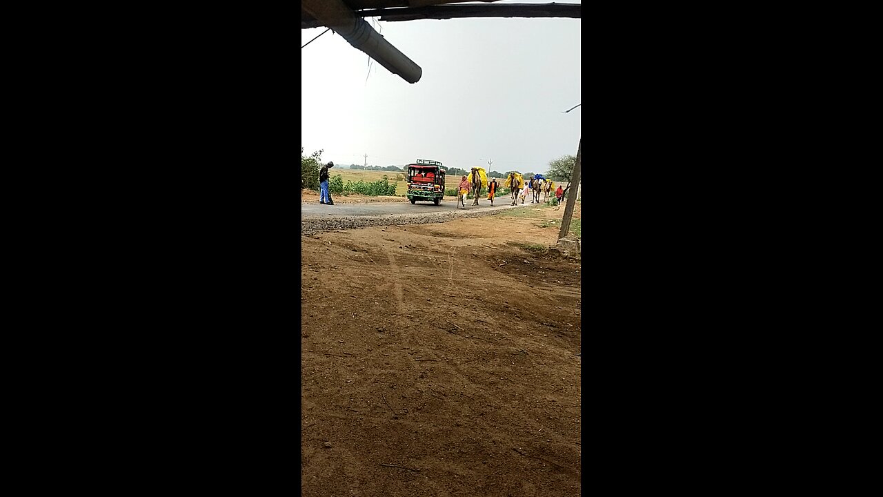 Nice video