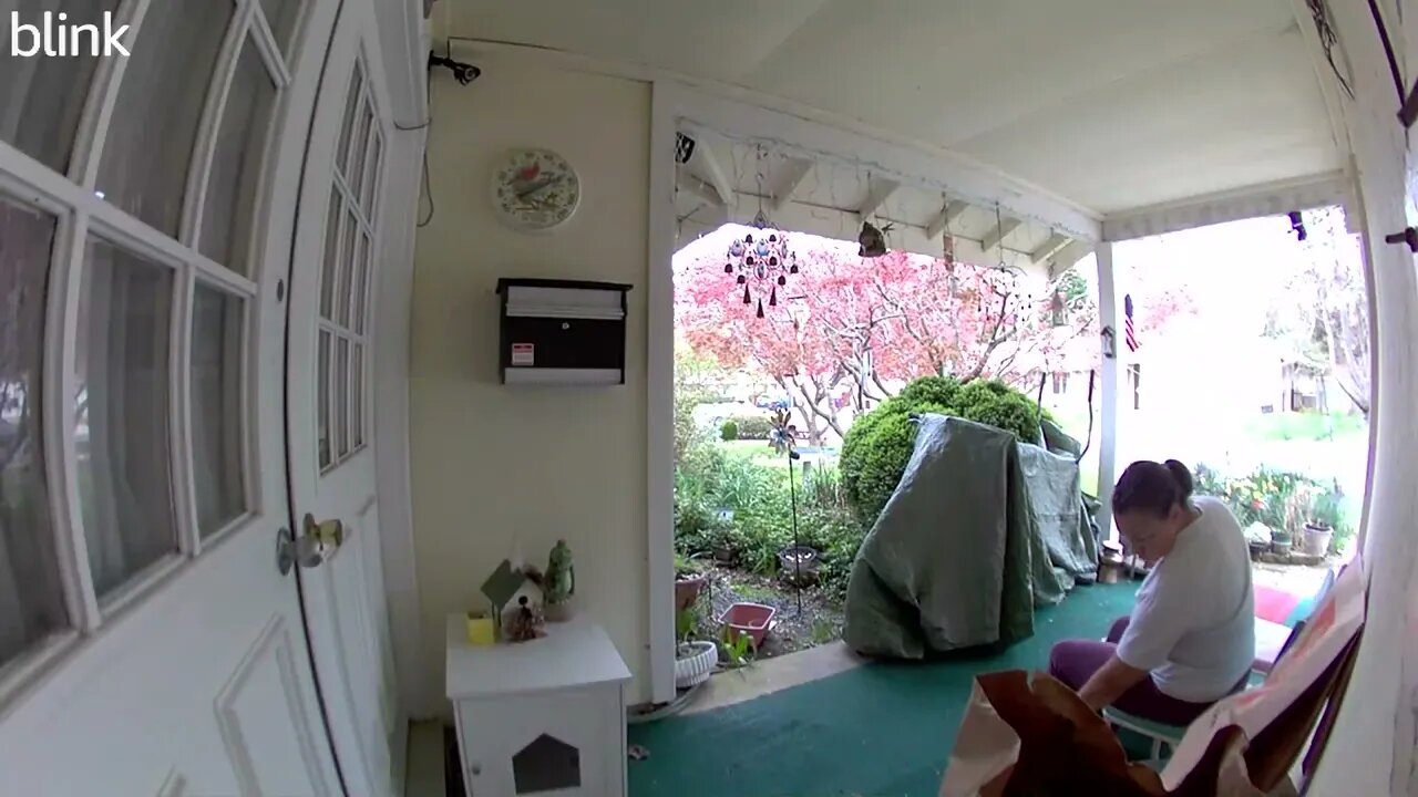 NORTH_VIDEO_DOOR_BELL_2023-04-06T10_27_14-0400.mp4