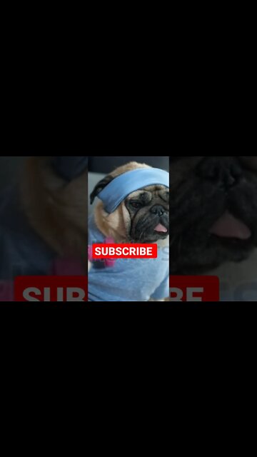 Pre xmas body transformation #shorts