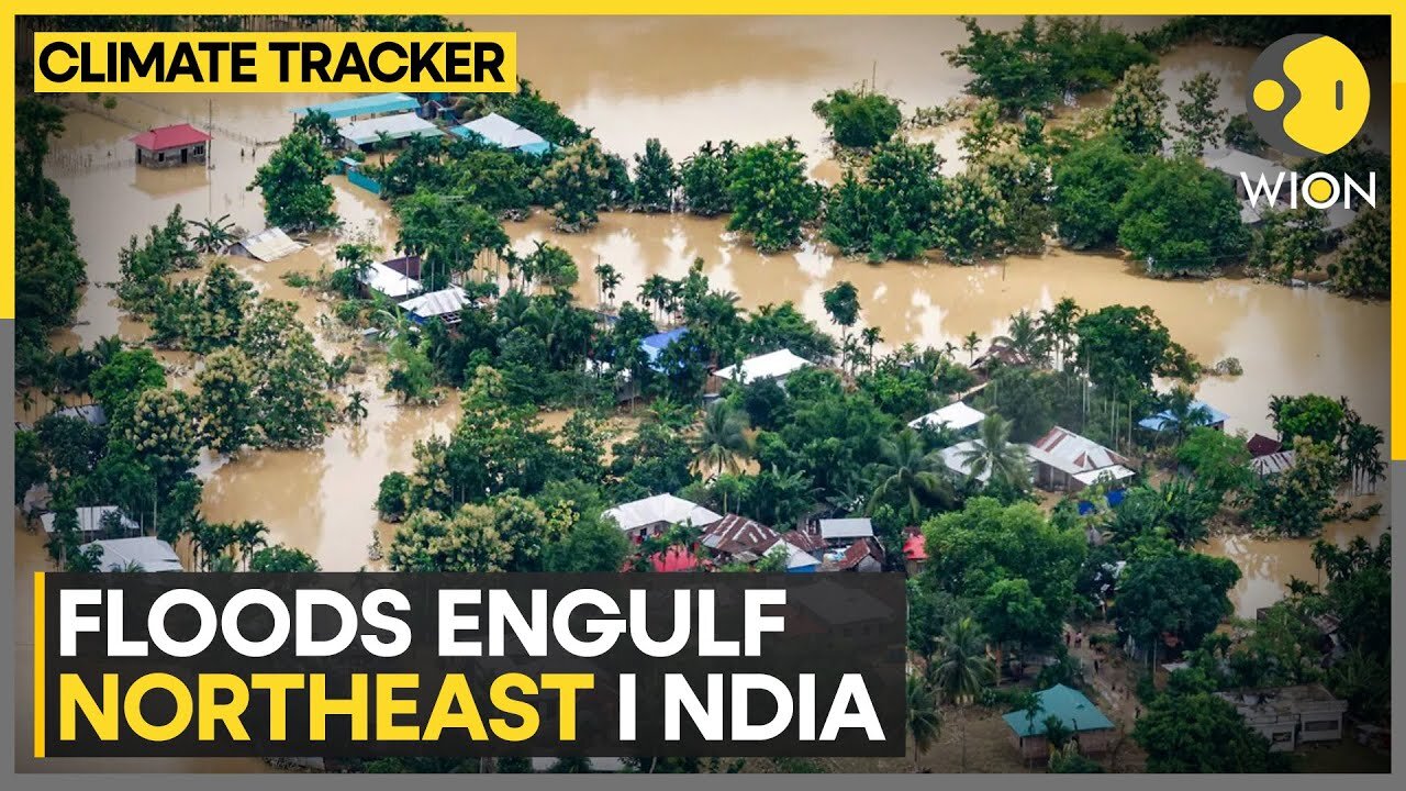 Heavy rains cause flash floods in India's northeastern states | WION Climate Tracker | WION News