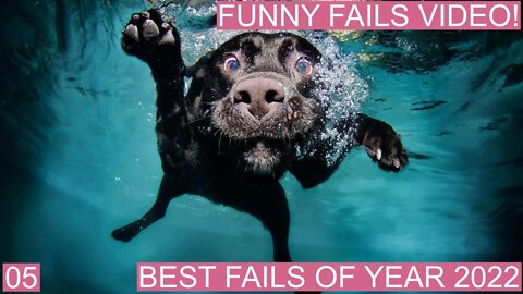 New Funny Videos 😂 Cutest People Doing Funny Things 06-2022