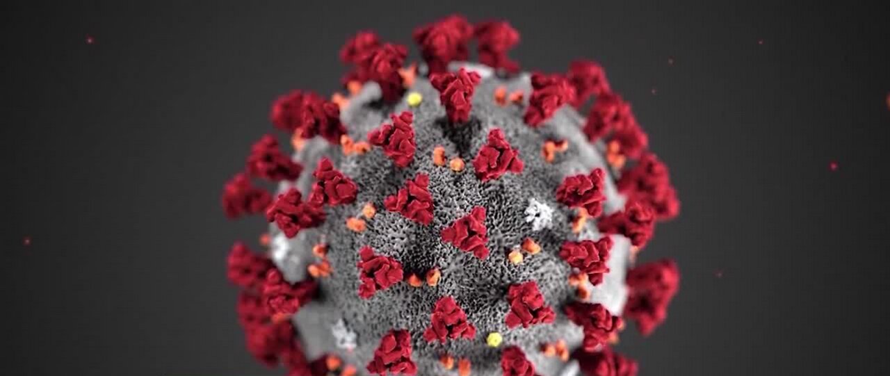 Contamination at CDC likely cause of test delays