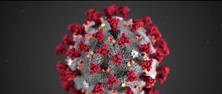 Contamination at CDC likely cause of test delays