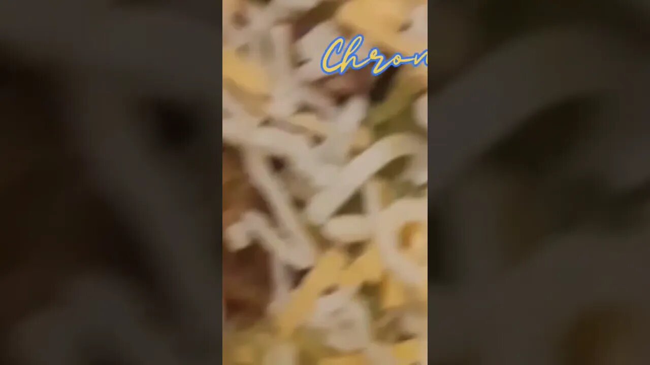 Learn to make burritos like a champ😯😍🍻 #shorts