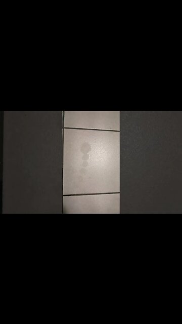 The perfect P drops. lol