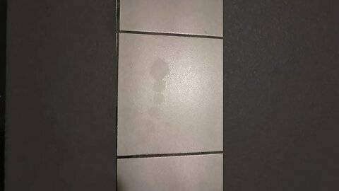 The perfect P drops. lol