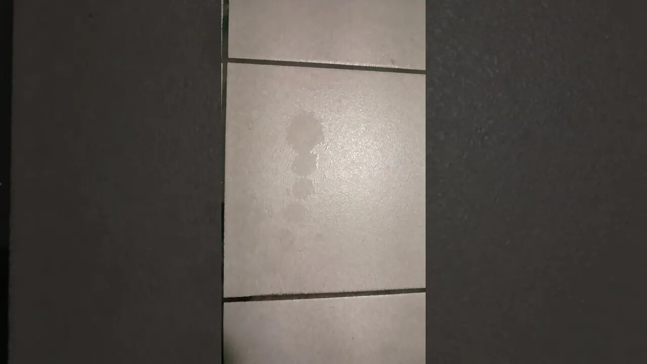 The perfect P drops. lol