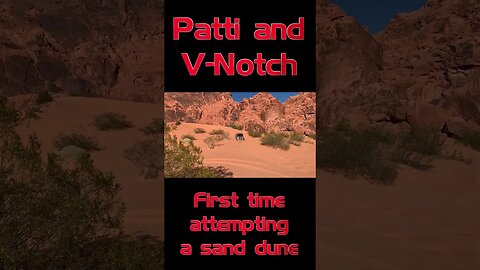 Patti and V Notch First time attempting a sand dune #shorts #defiantjeep