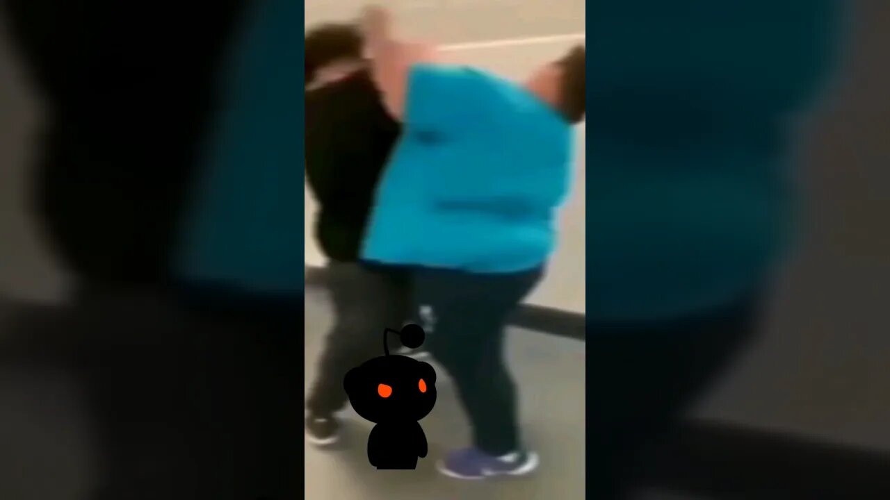 When the #reddit argument comes to life #nonsense #zoobox