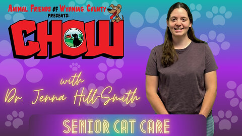 Senior Cat Care