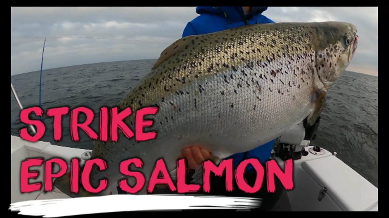 STRIKE !! Epic Salmon - Team Bertan