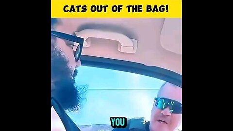 cats out of the bag