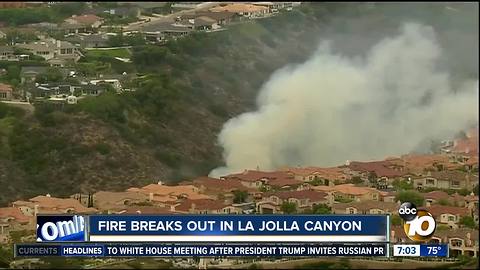 Fire breaks out in La Jolla canyon