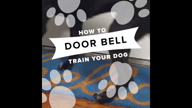 How to train your dog