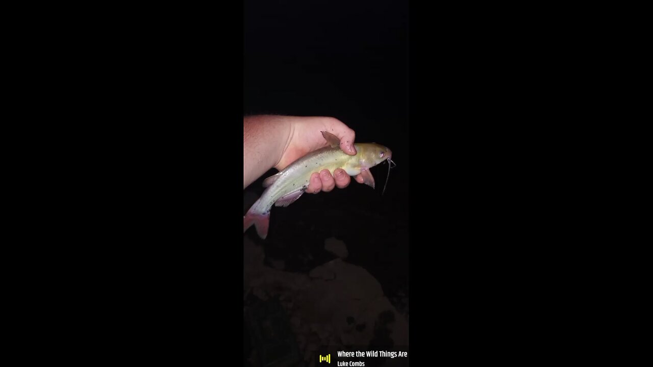 ZiaFishing505ποΈπΊπΈ