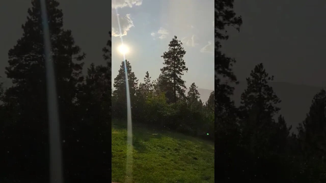 #rain #shorts #peaceful