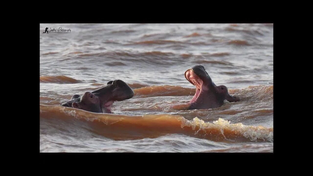 Sleep Meditation Music | Lake Langano, Ethiopia