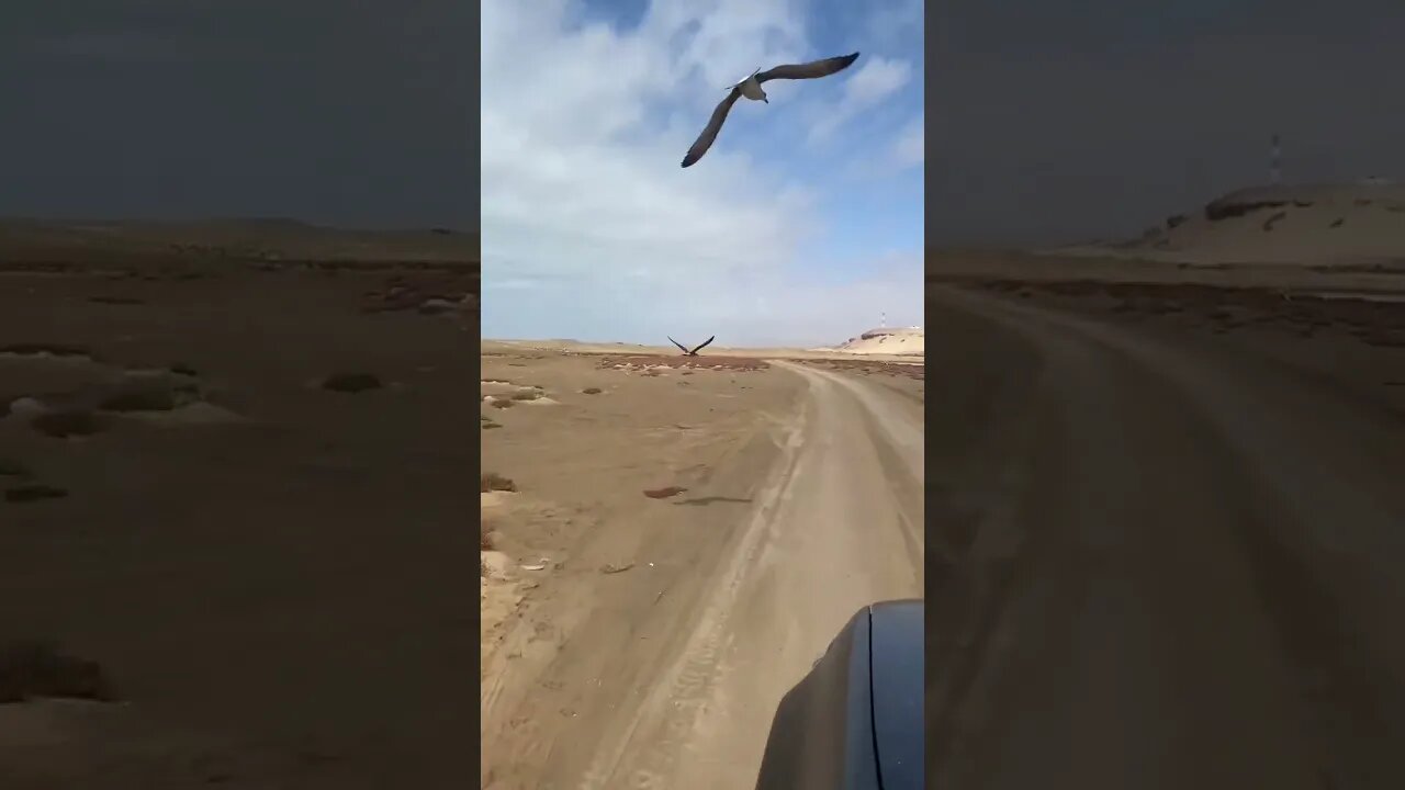 الشاطئ الابيض نواحي گلميم 😍🐟Plage Blanche Guelmim